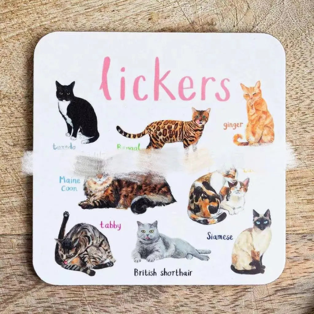 Square bird pun coasters, PVC drink mats 10x10x0.35 cm, 6 or 12 piece set with bird charts.