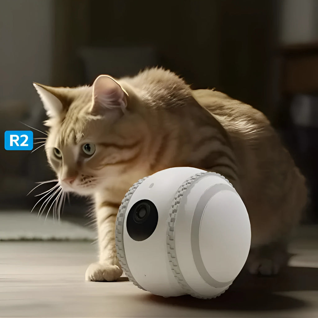White cat robotic pet toy with automatic recharge function and USB charging cable