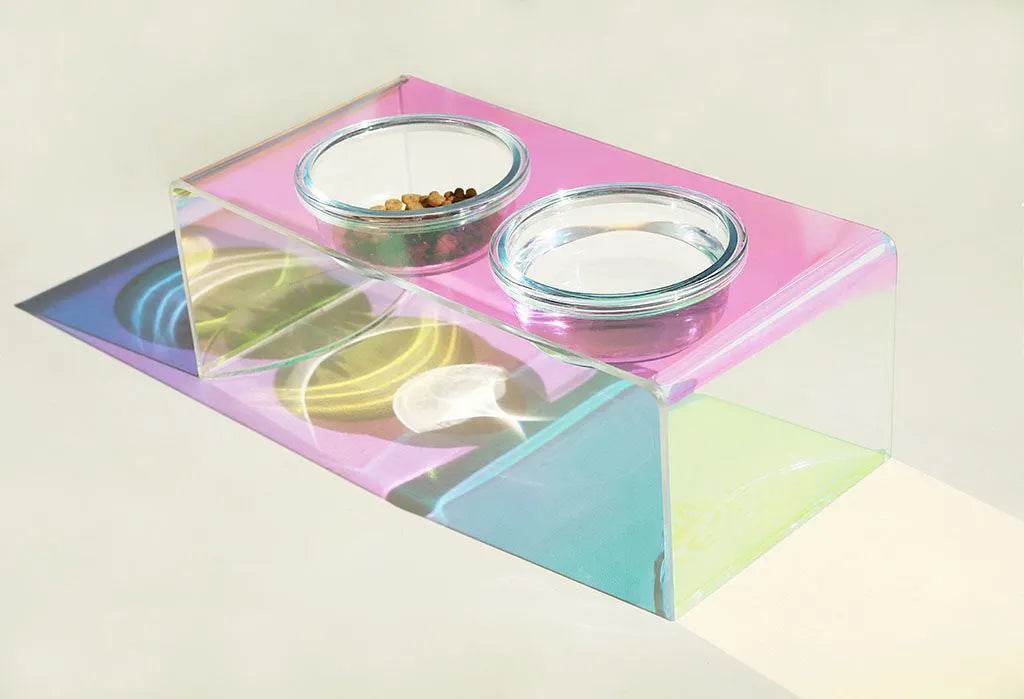 Pet Rainbow Bowl acrylic pet feeder with holographic finish and glass bowl for cats and small dogs