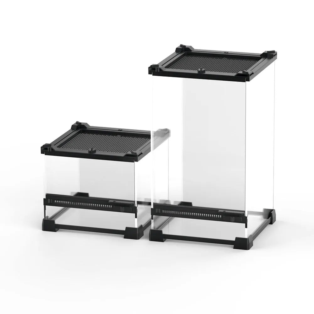 Transparent glass cylinder enclosure for lizard and turtle climbing and feeding