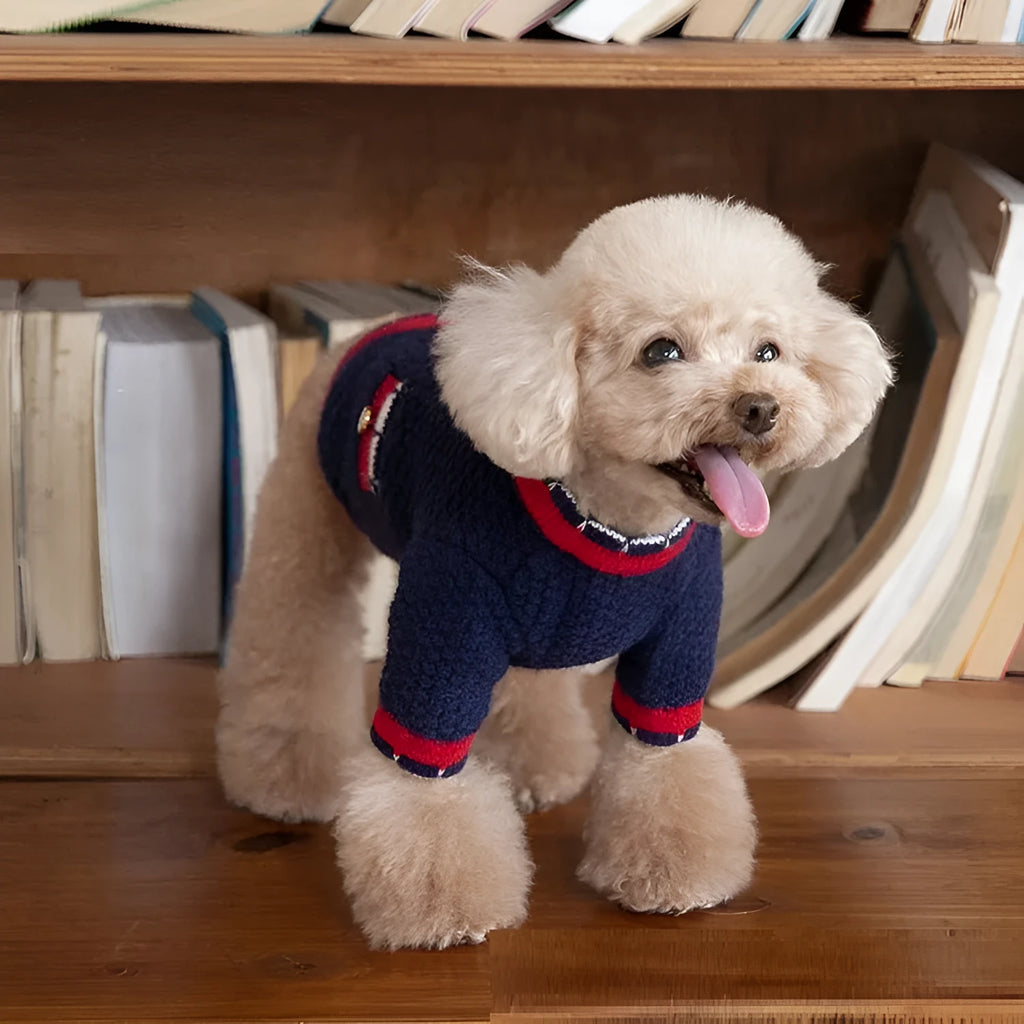 Blue classic style dog cardigan sweater with princess design on mannequin