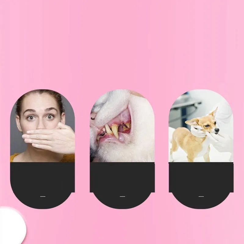 Pet toothbrush set with toothpaste and finger toothbrush options for dogs and cats