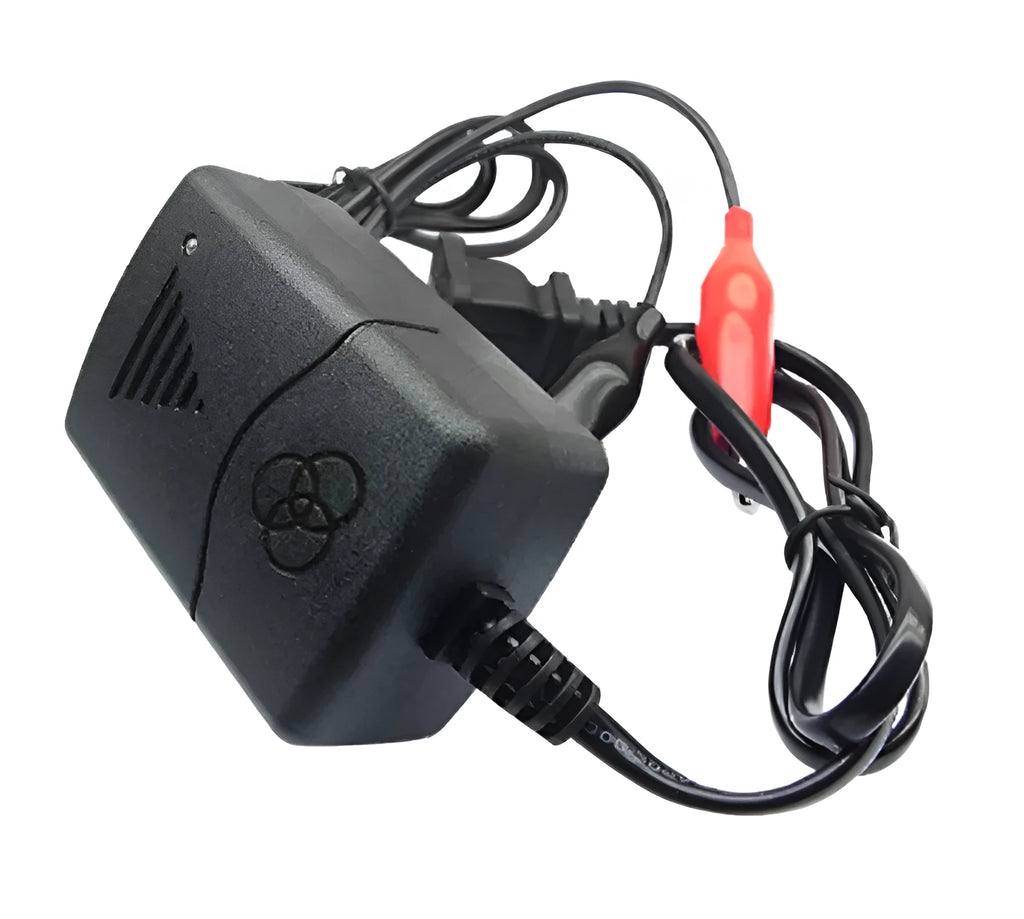 Compact 12V black battery charger for car truck motorcycle with 1250mA output on white background