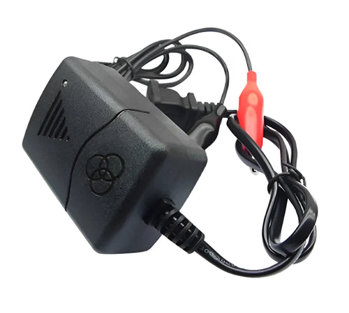 Compact 12V black battery charger for car truck motorcycle with 1250mA output on white background