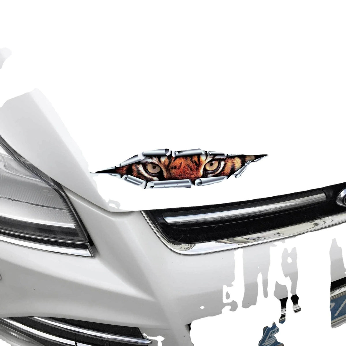 35cm long 3D car sticker with tiger eye or eagle eye design for automotive bumper decoration