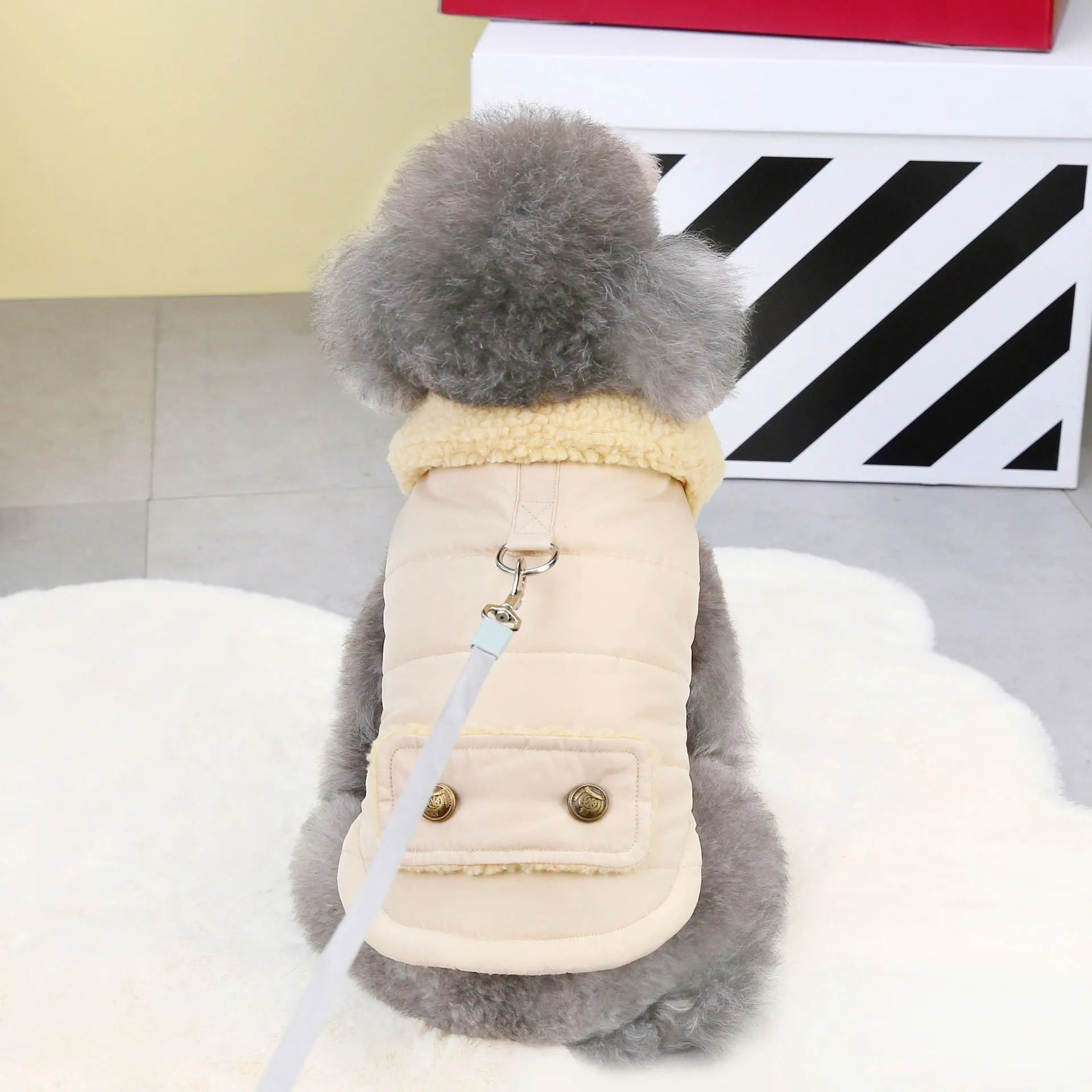 Teddy cat Nordic fur collar cotton vest in green, front view on pet