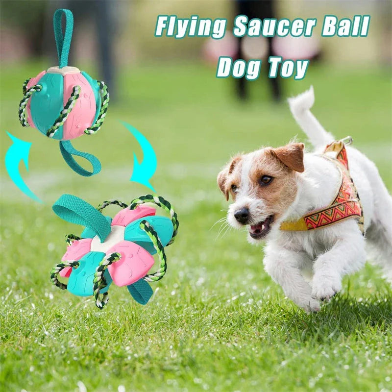 Interactive dog toy that transforms from a ball to a frisbee, engaging your pup's natural instincts and providing endless outdoor fun.