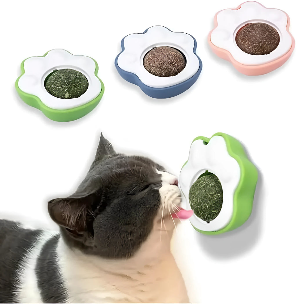 Edible vine catnip balls for cat dental cleaning and interactive play in blue green pink colours