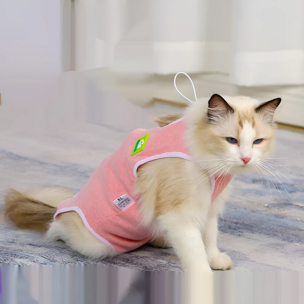 Blue cotton pet sterilization suit for cat or dog recovery with adjustable scarf