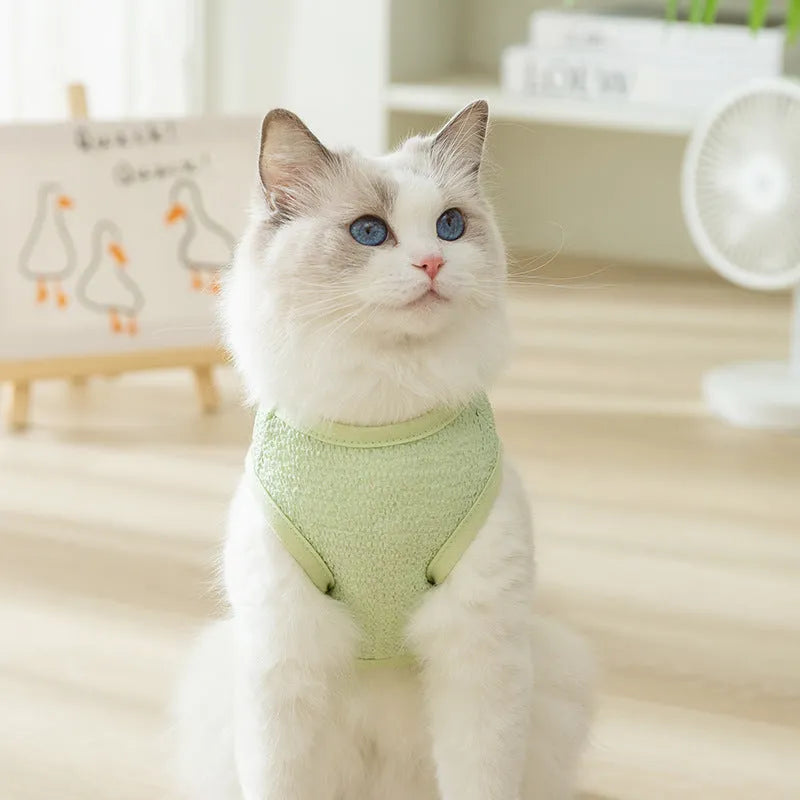 Bear patch cat clothes in hollowed-out knitted fabric showing breathable pattern