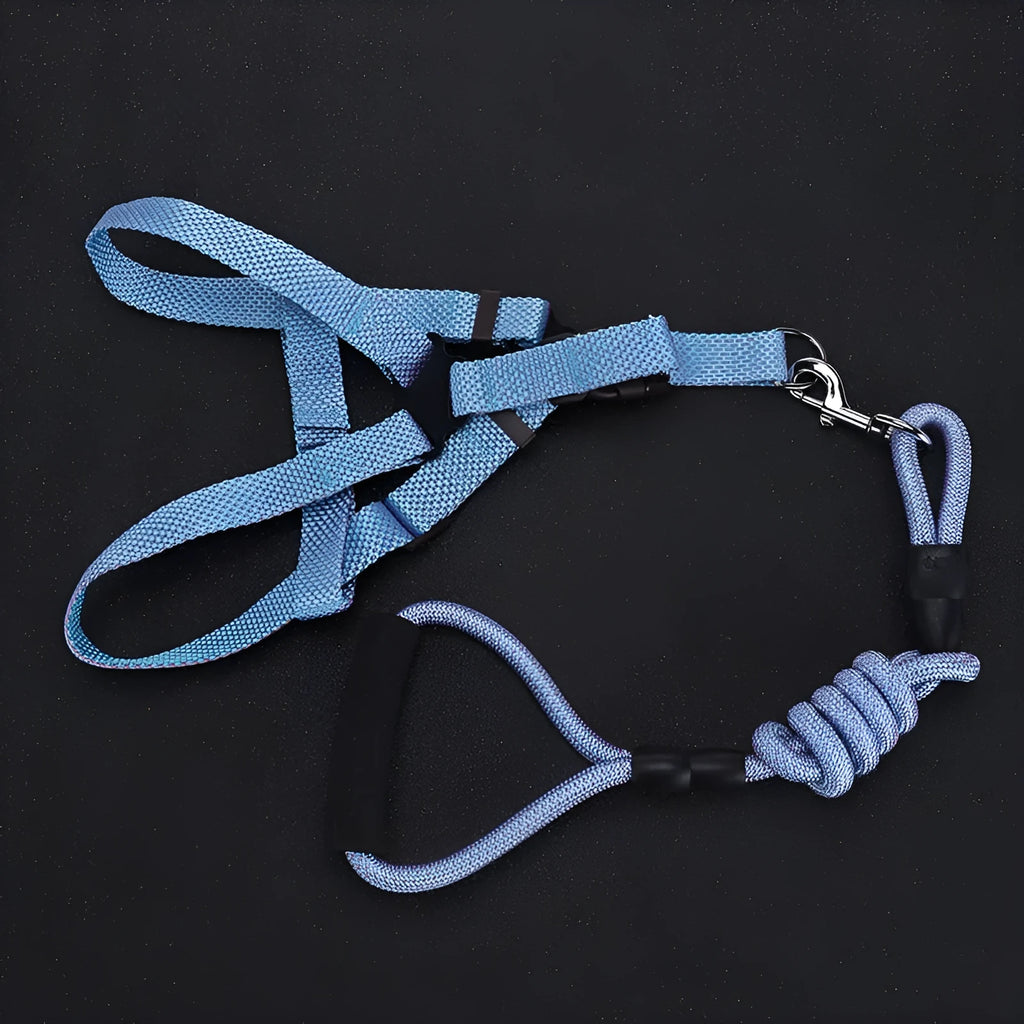 Nylon dog traction belt hand-held rope in blue for small medium large pets walking training