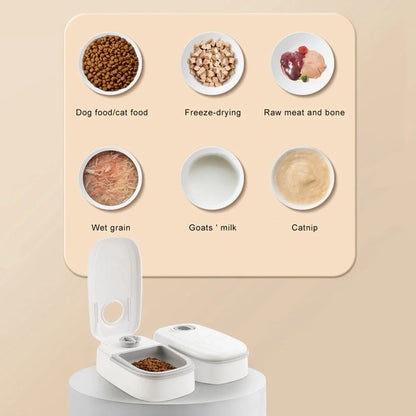 Automatic pet feeder with stainless steel bowl, gravity-powered feeding system for cats and dogs