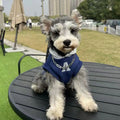 Blue and white reflective letter print slim-fitting pet hoodie for cats and dogs with elastic cuffs