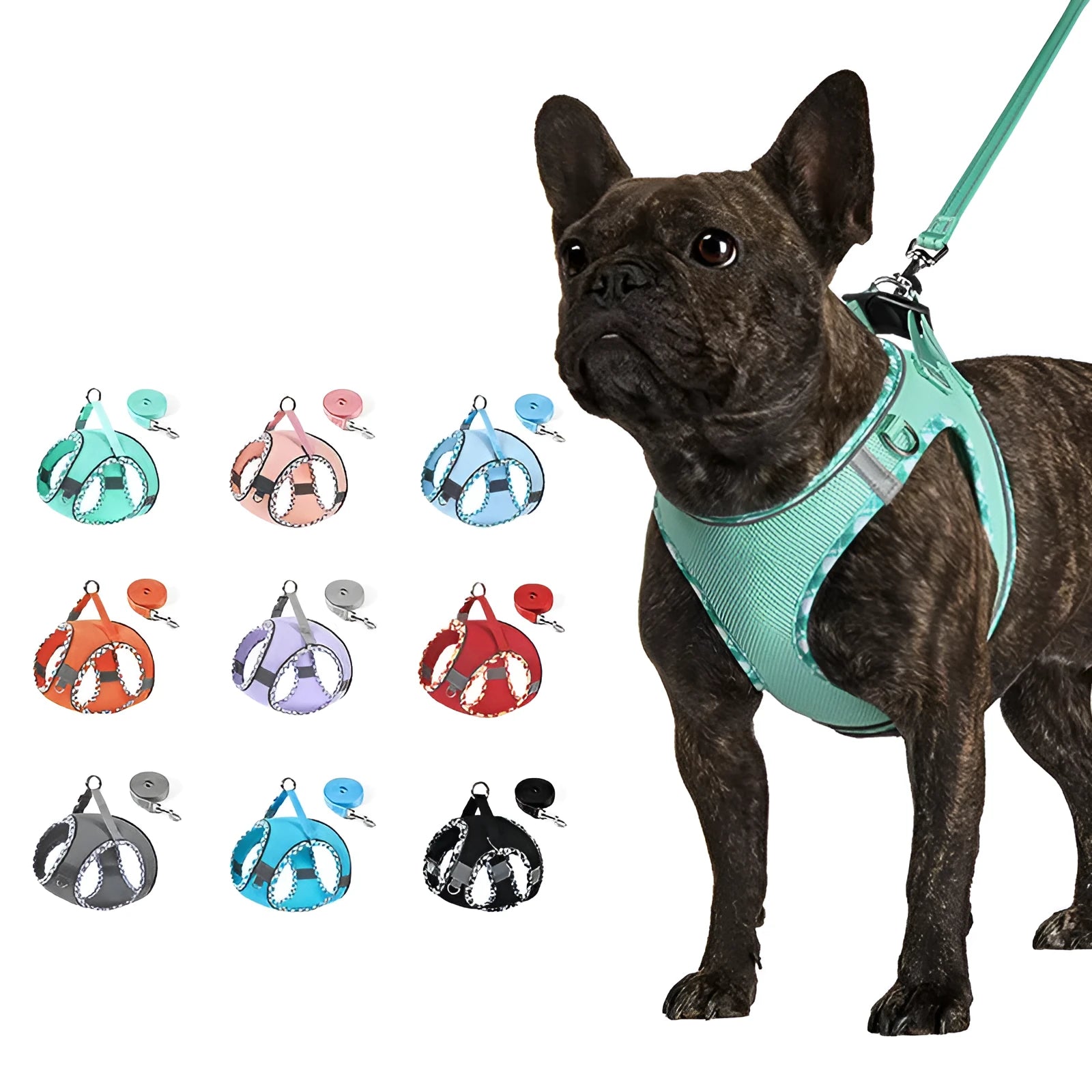 Step-in no-pull dog harness with attached leash, made from breathable mesh with reflective strips and a plastic quick-release buckle.