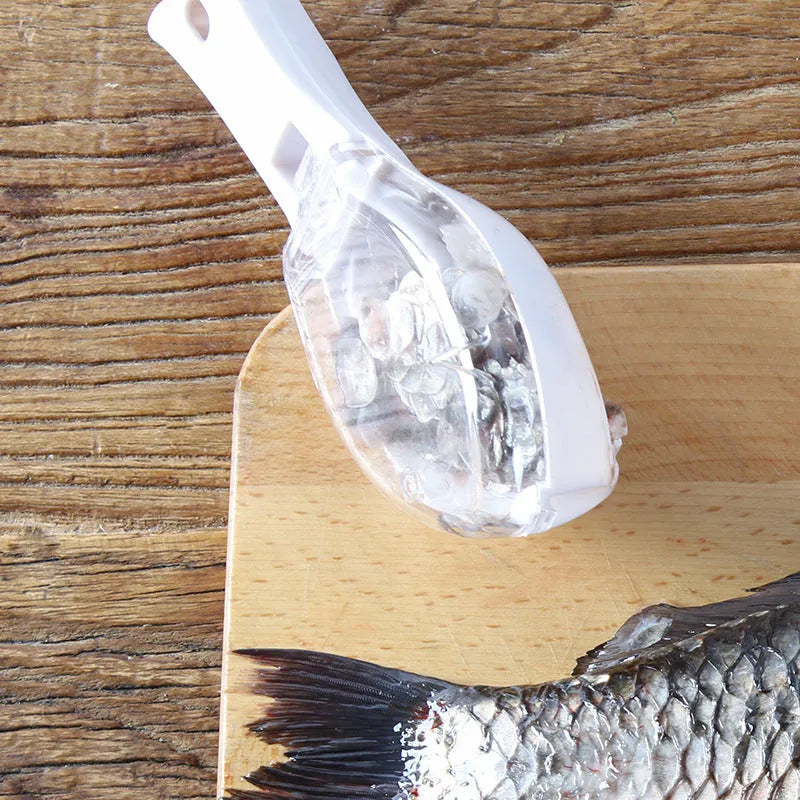 Fish-shaped scale scraper with cover in white, green, or blue colour options