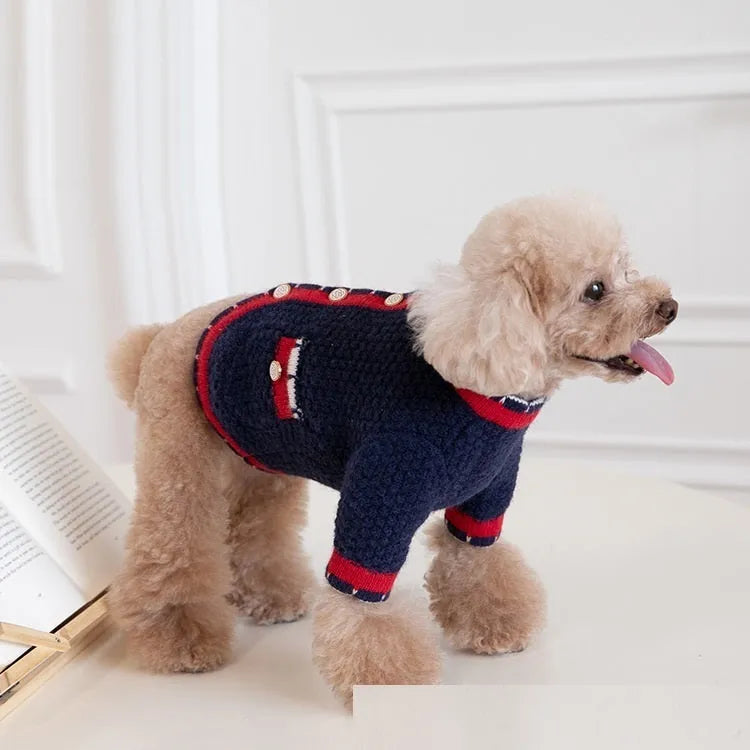 Blue classic style dog cardigan sweater with princess design on mannequin