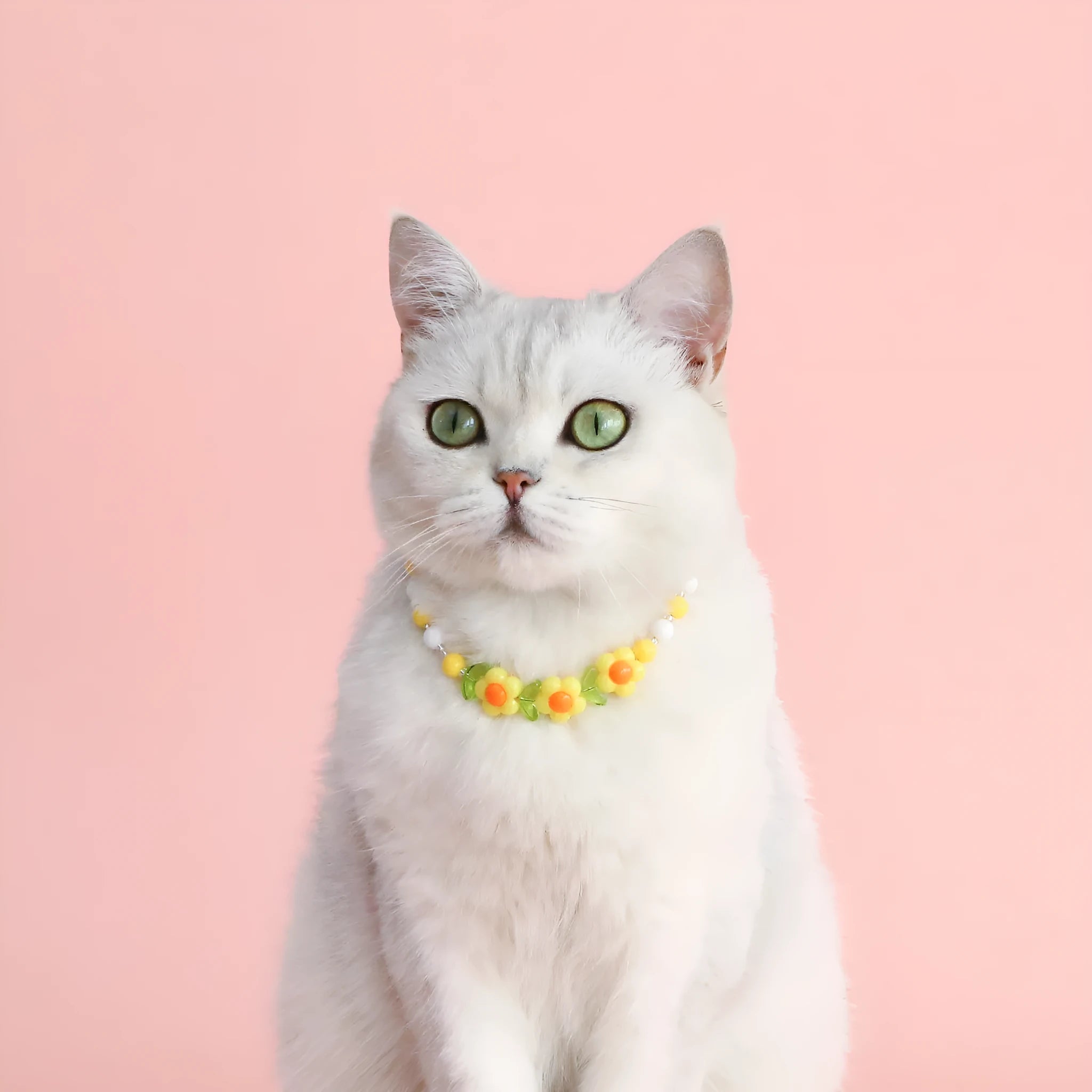 Colourful plastic bead pet necklace for cats in peach pattern with adjustable sizing