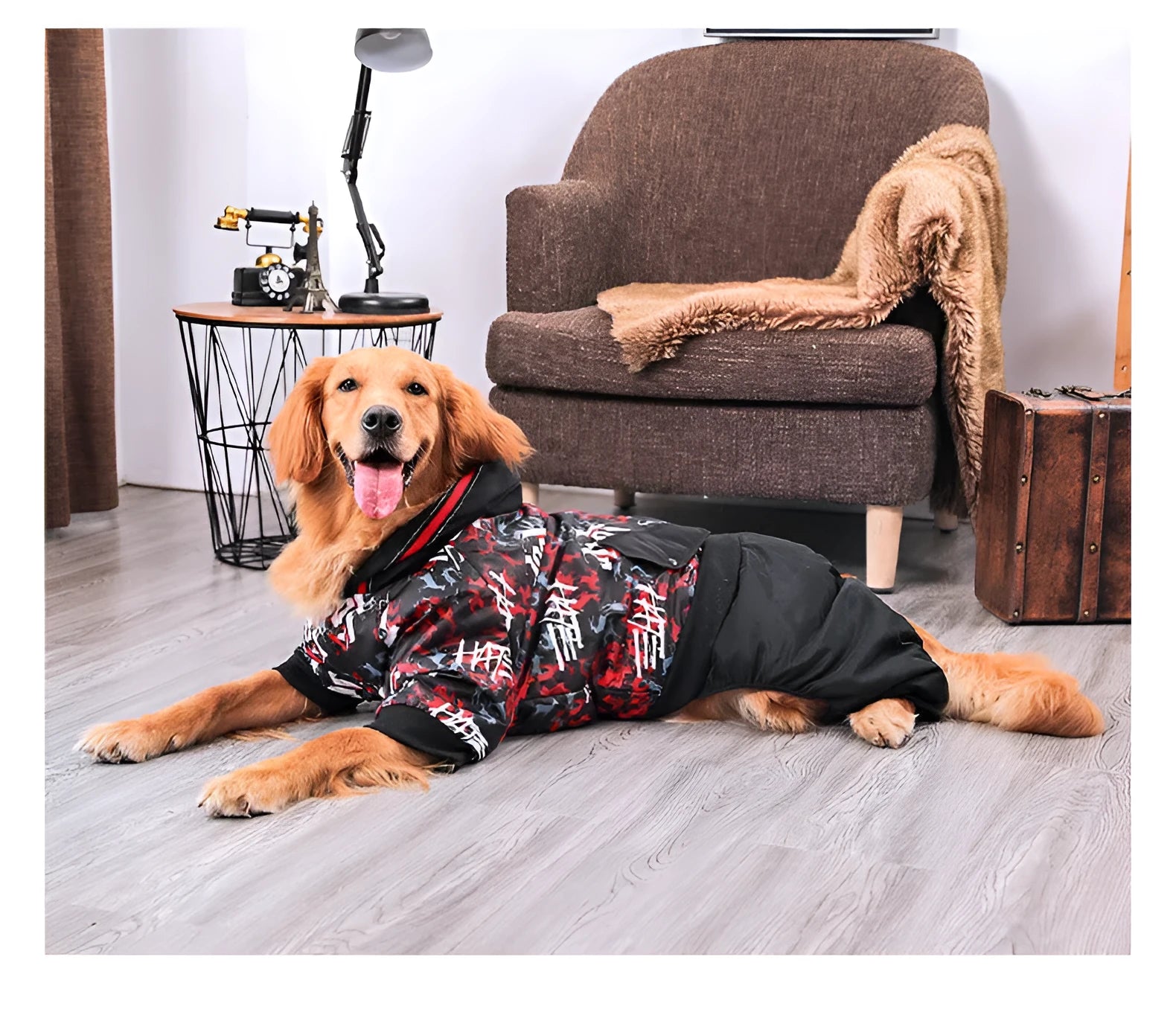 Cotton printed dog coat for extra large breeds shown in 3XL size with colourful pattern