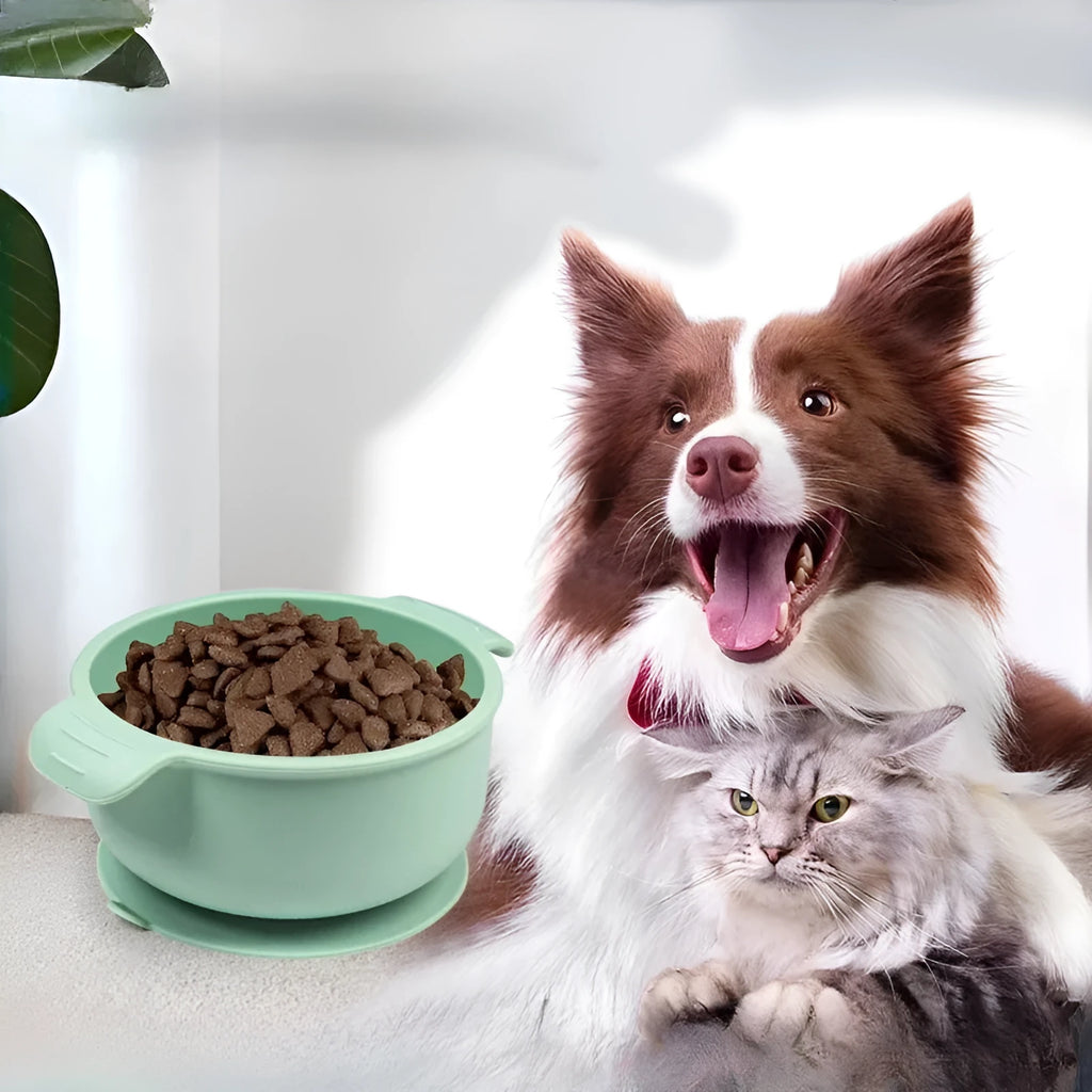 Silicone pet bowl with suction cup base in beige, blue, grey, green or pink colours