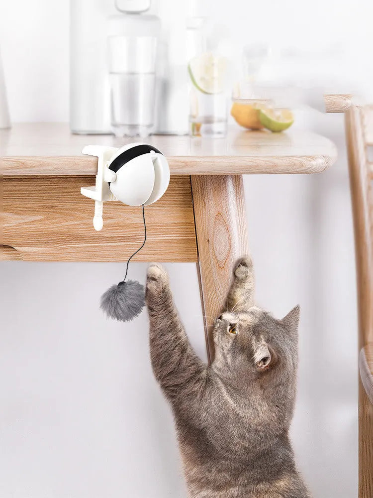 Electric automatic lifting motion cat toy with rabbit hair teaser ball and 10KG rope load-bearing, black or white