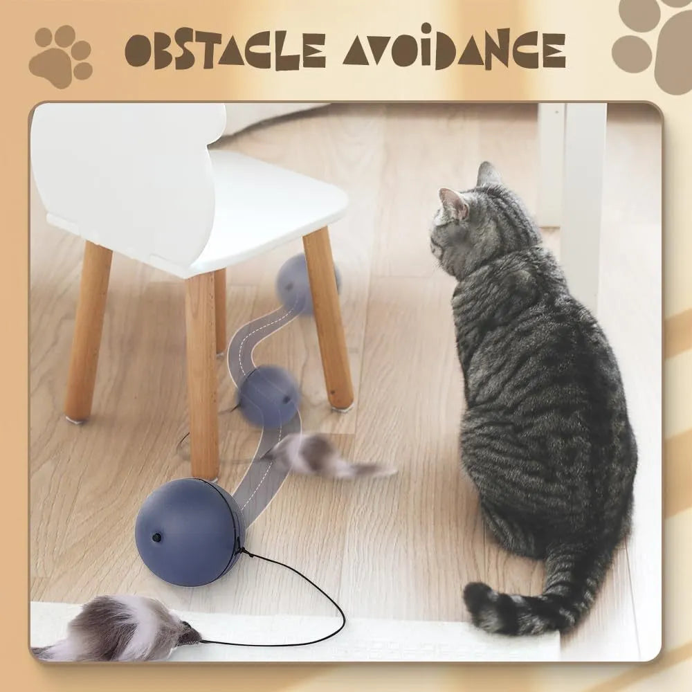 Blue and orange automatic rolling ball pet toy for cats and dogs on a wooden floor.