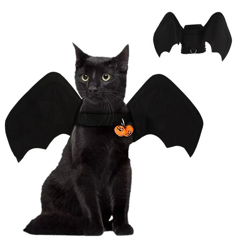 Black cloth dog Halloween bat costume with 3D foldable wings on a small pet