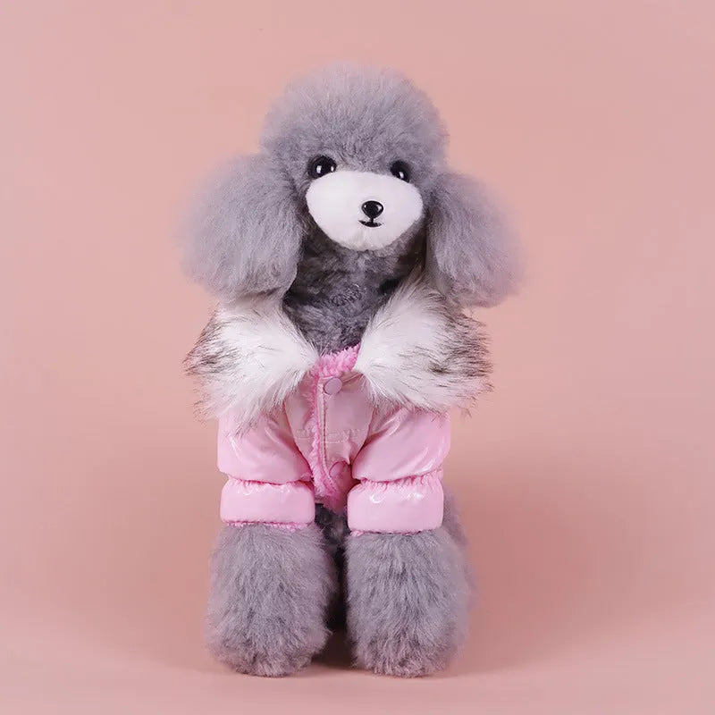 Blue British-style cotton dog jacket on a pet, showing winter coat design.