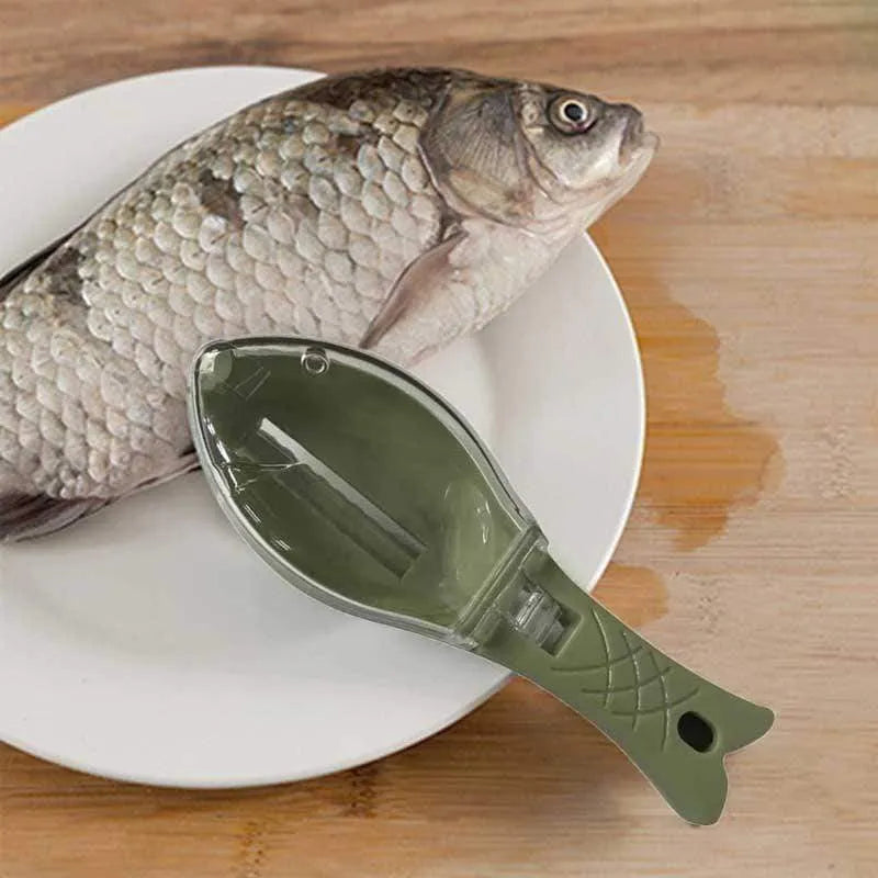 Fish-shaped scale scraper with cover in white, green, or blue colour options