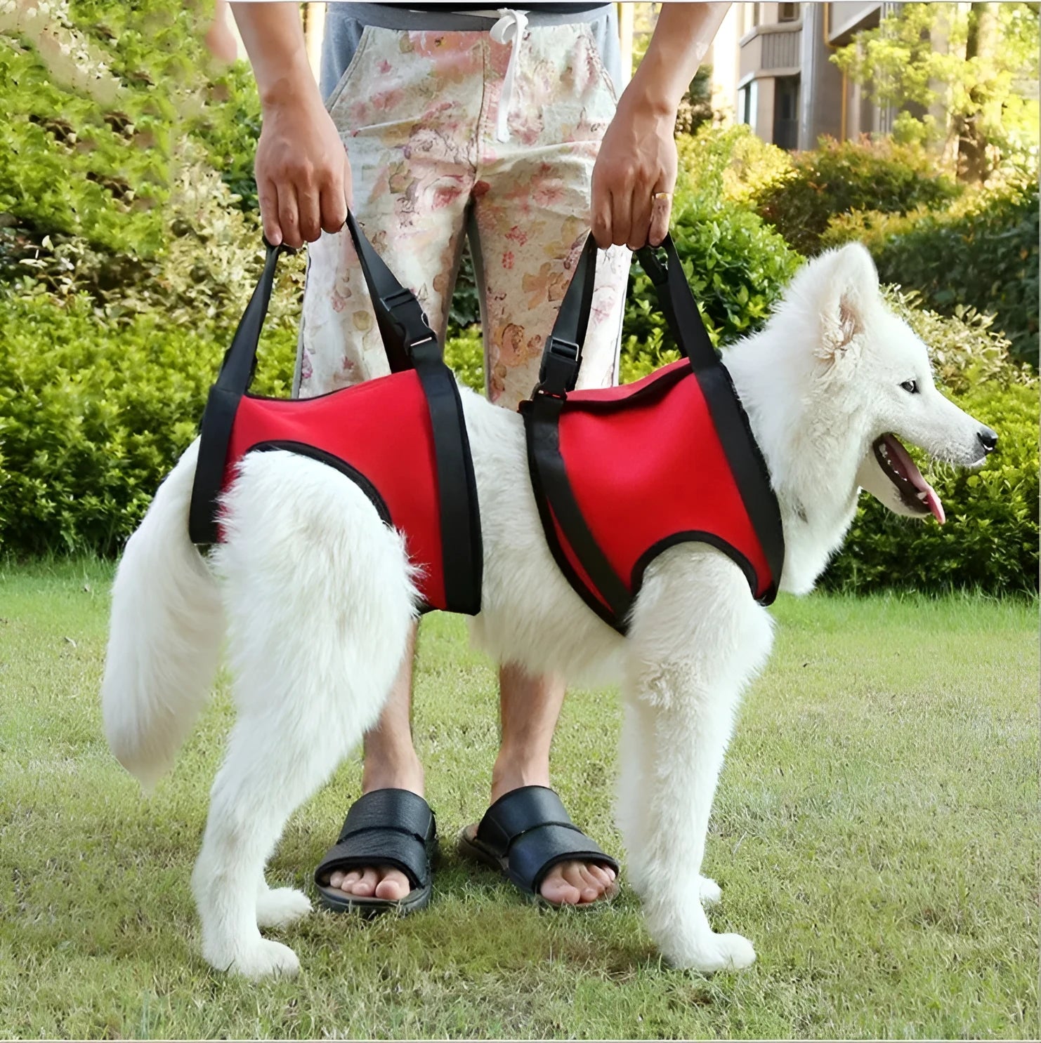 Pet safety belt in red high grade diving material with adjustable webbing for foreleg support