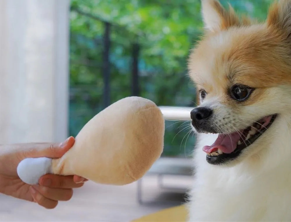 Cartoon plush chicken toy with jujube, chestnut, ginseng, and molar rope for dog and cat play