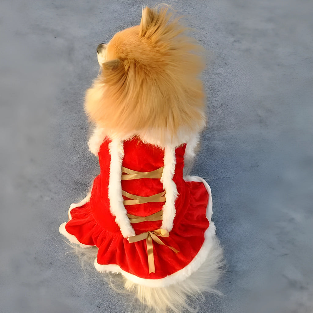Red velvet skirt for female pets in casual style on white background