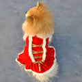 Red velvet skirt for female pets in casual style on white background