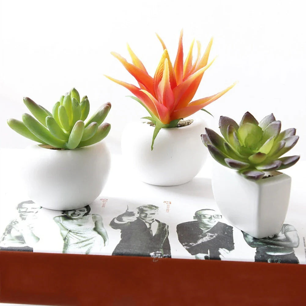 Charming succulent fridge magnets in various styles, featuring realistic plastic plants with strong magnetic attachments for easy placement on refrigerators and other metal surfaces.