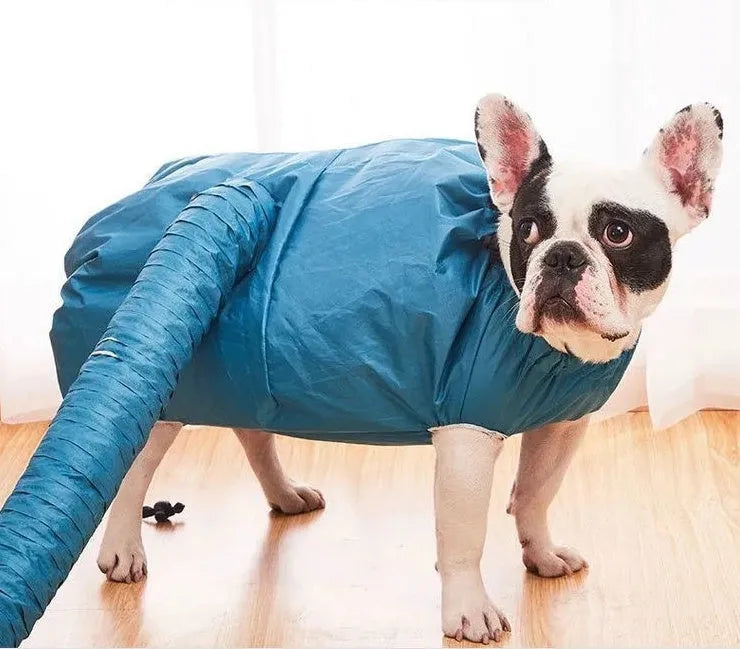 Blue automatic dog drying bag with quick drying hair dryer function, Oxford cloth and silver-plated film, sizes S to XXL.