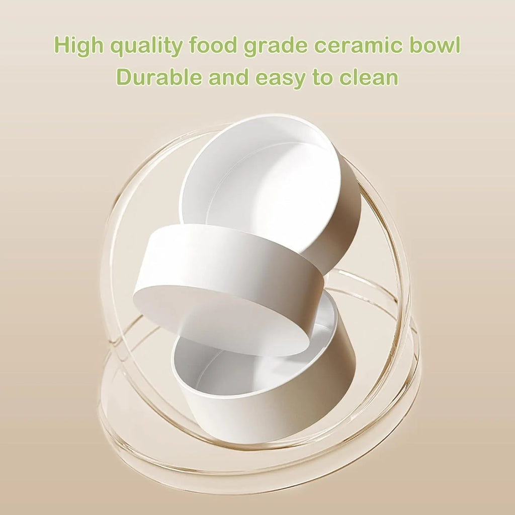 Green ceramic elevated cat bowl set with 15 degree tilt on a white base