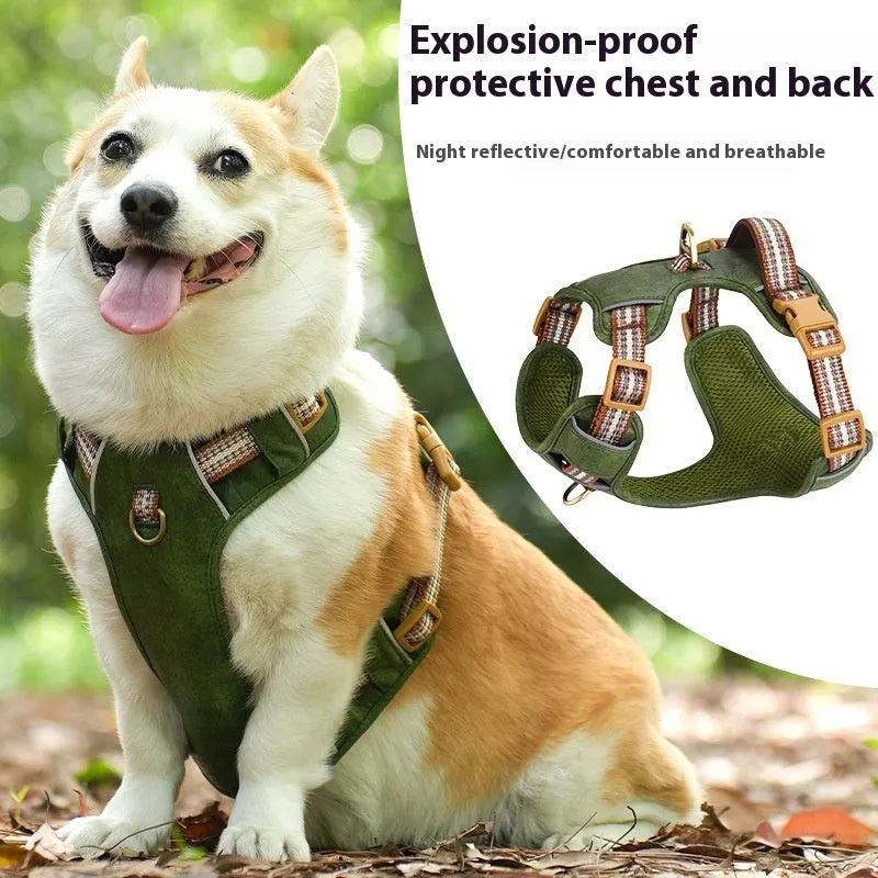 Brown leather dog harness with reflective strips and D-ring attachment on wooden background