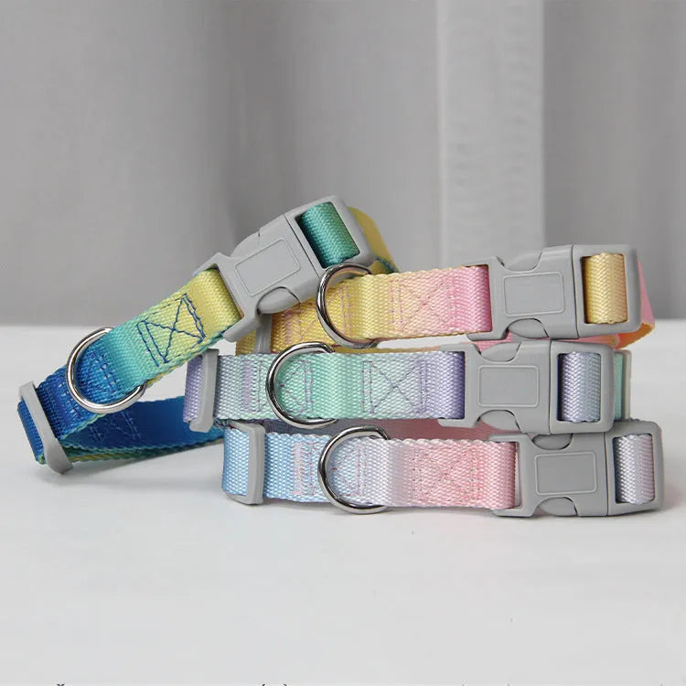 Gradient colour nylon dog leash and collar set showing blended pink, blue, yellow, purple, and green hues