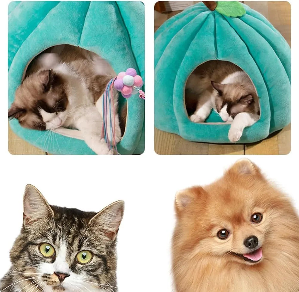 Pumpkin-shaped plush cat cave bed with a round entry hole on a wooden floor.