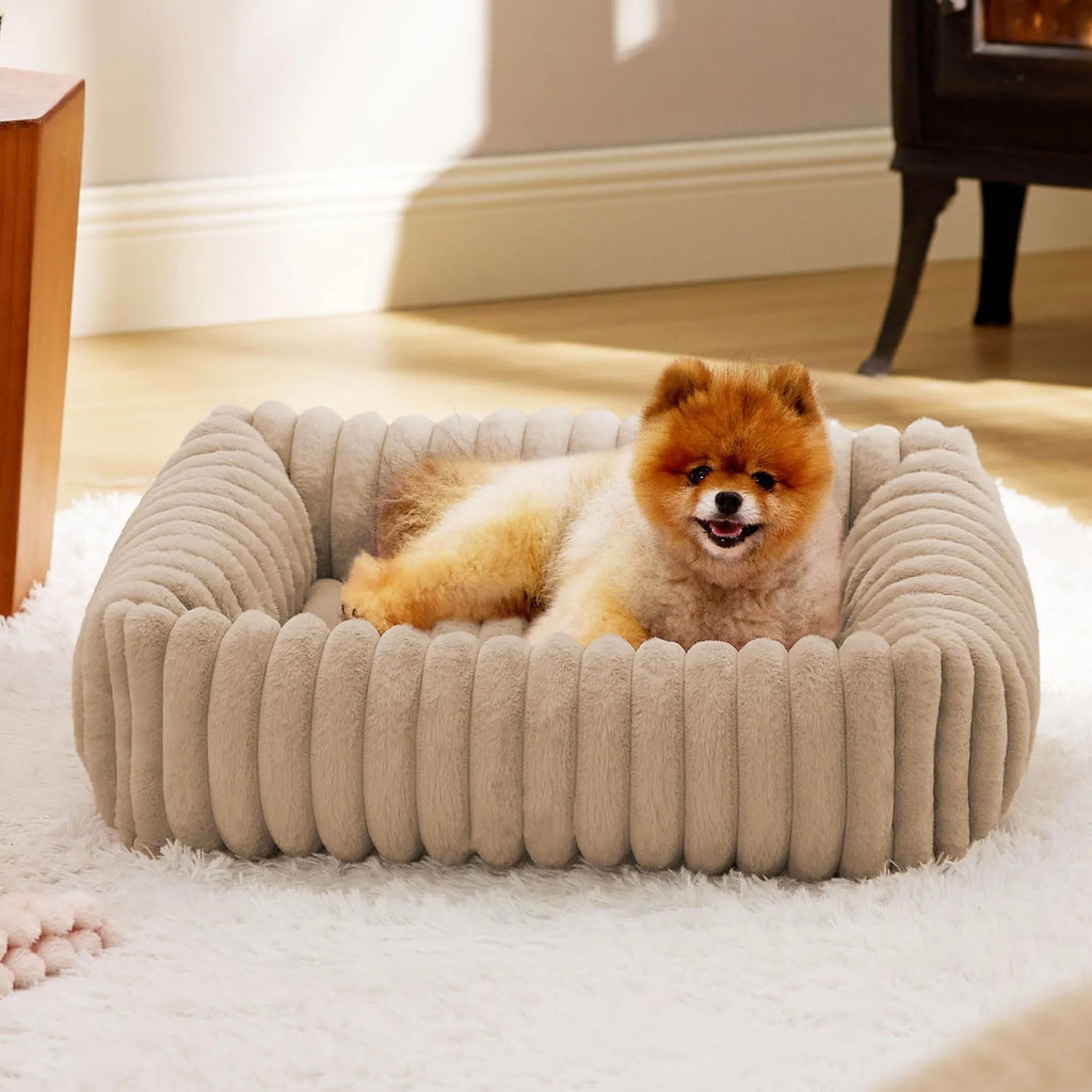 Dog bed with removable cover in beige colour showing four available size options