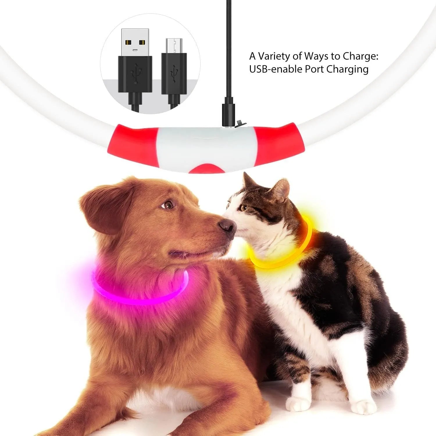 Blue USB rechargeable LED dog collar glowing around dog's neck with adjustable 70cm length