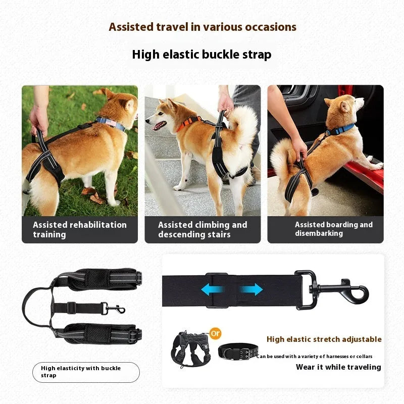 Black polyester pet rehabilitation hind legs auxiliary strap on a dog, three sizes available