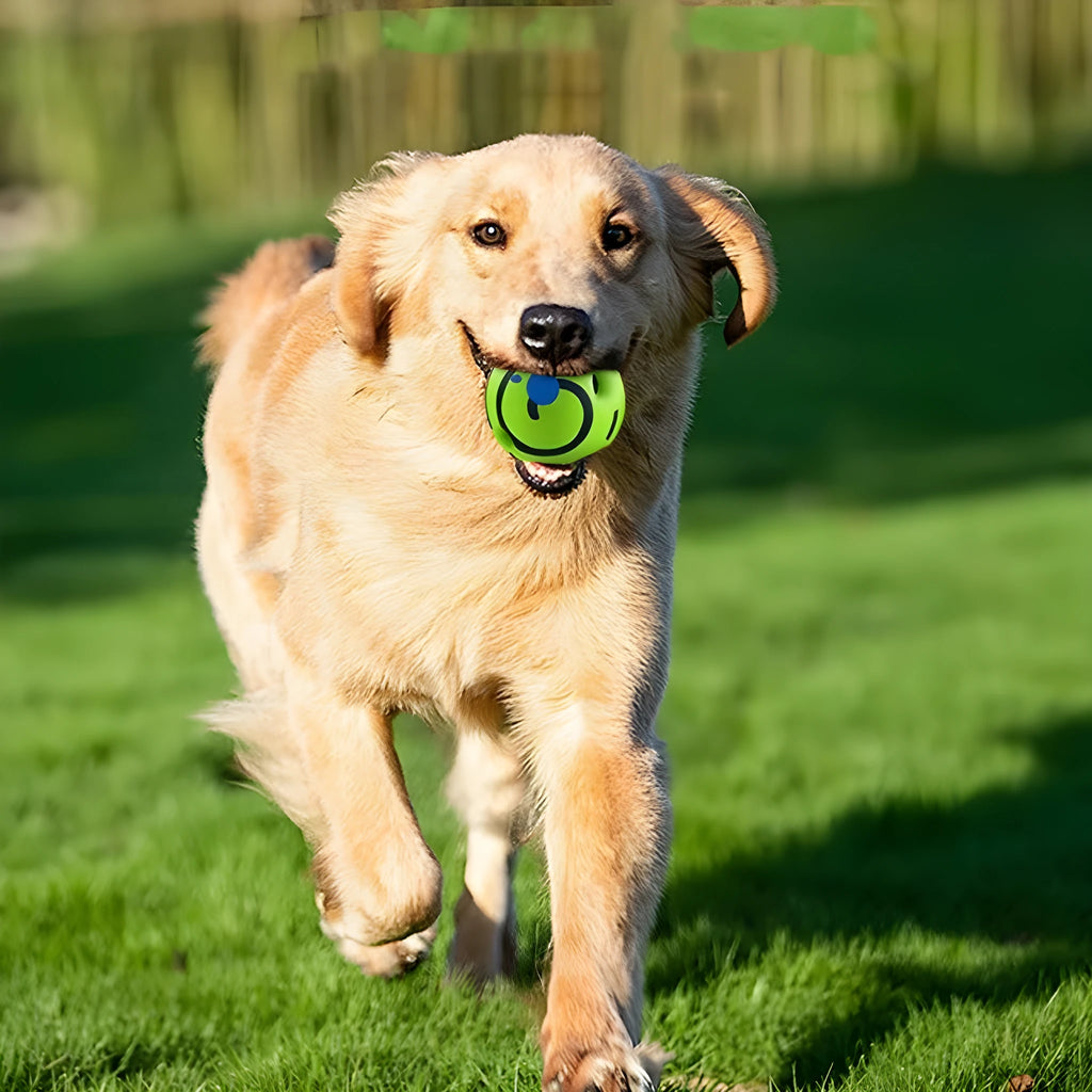 PVC dog toy leakage ball in opp bag with anti-stuffy design for food dropping