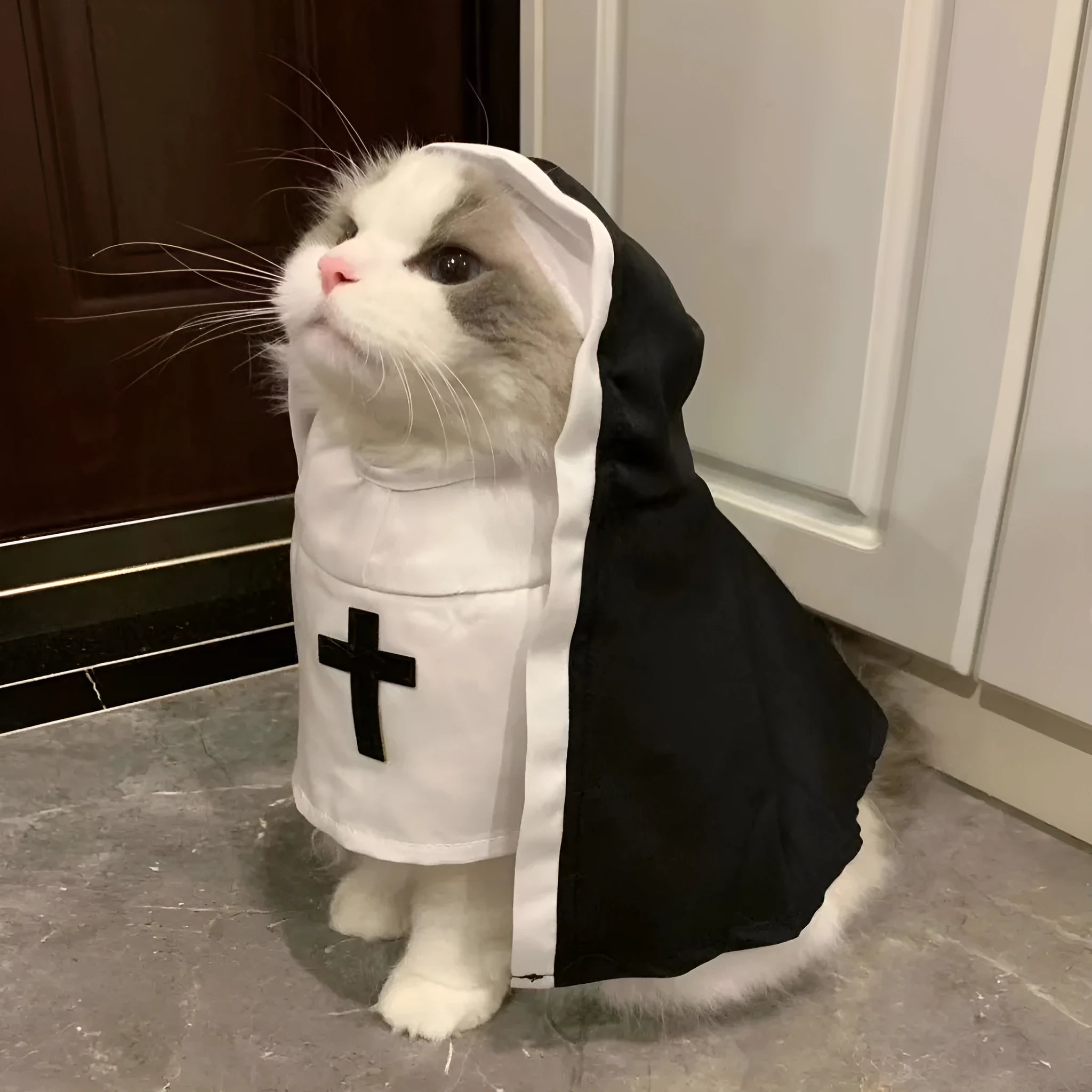 Black and white polyester nun costume cloak for a small dog on Halloween