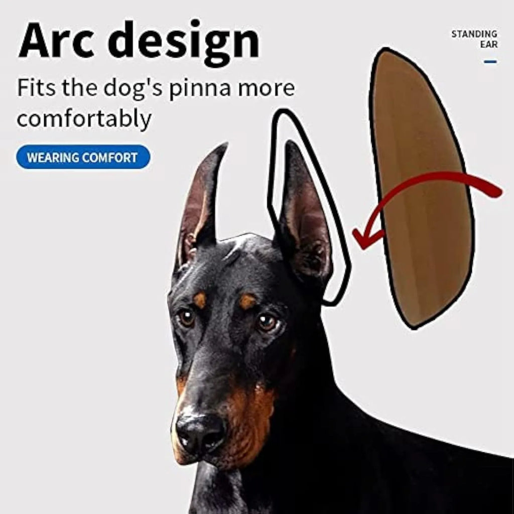 Pack of white dog ear support stickers in various sizes for Doberman, Sheltie and Corgi puppies
