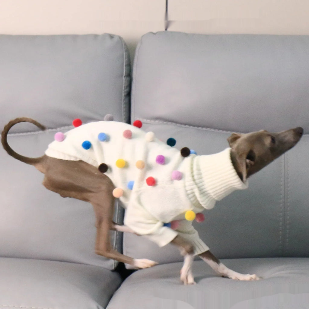 White pom pom Christmas sweater for Italian Greyhound or Whippet, unisex acrylic knit jumper