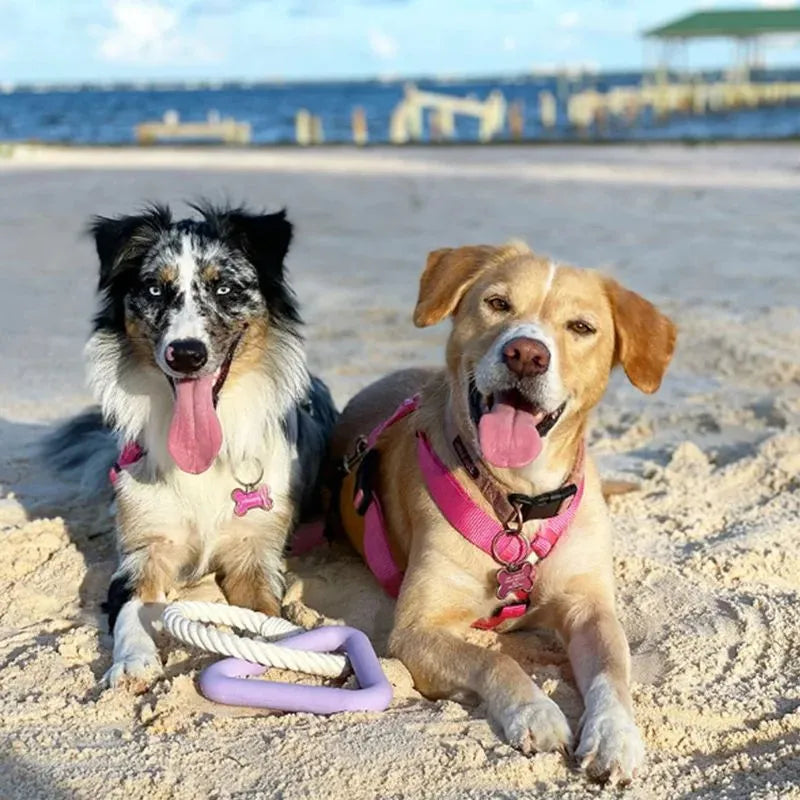 Large triangular cotton rope dog pull ring toy in beige, pink, or purple colours