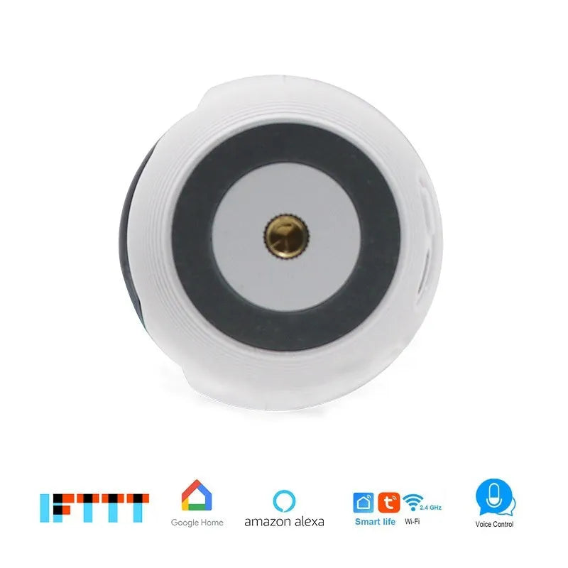 Miniature wireless network camera with 2MP sensor and 2.95mm lens for mobile phone remote viewing