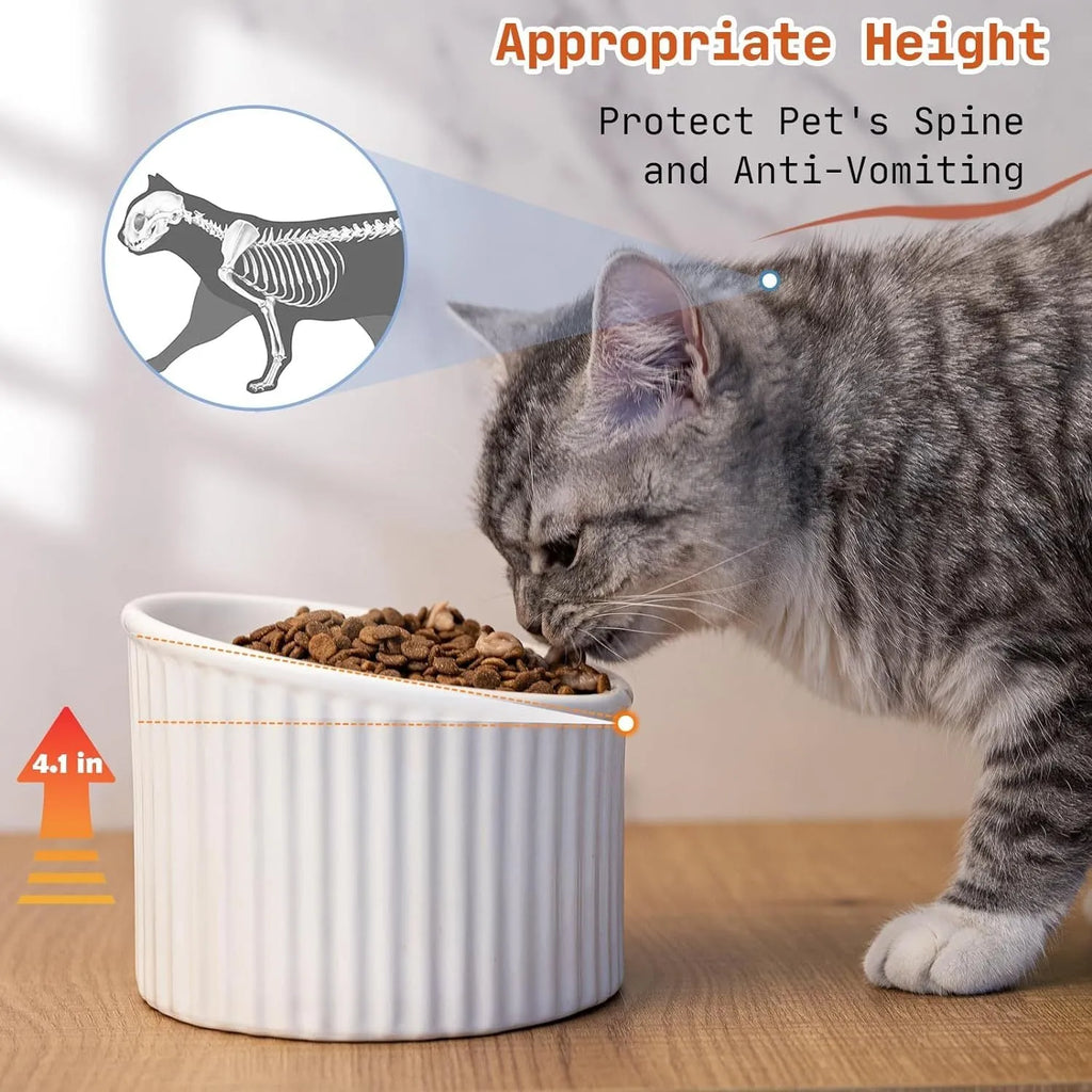 Elevated ceramic cat bowl in green colour with round shape and tilted design for whisker-friendly feeding