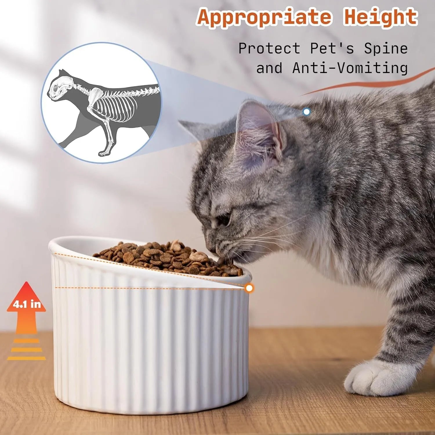 Elevated ceramic cat bowl in green colour with round shape and tilted design for whisker-friendly feeding