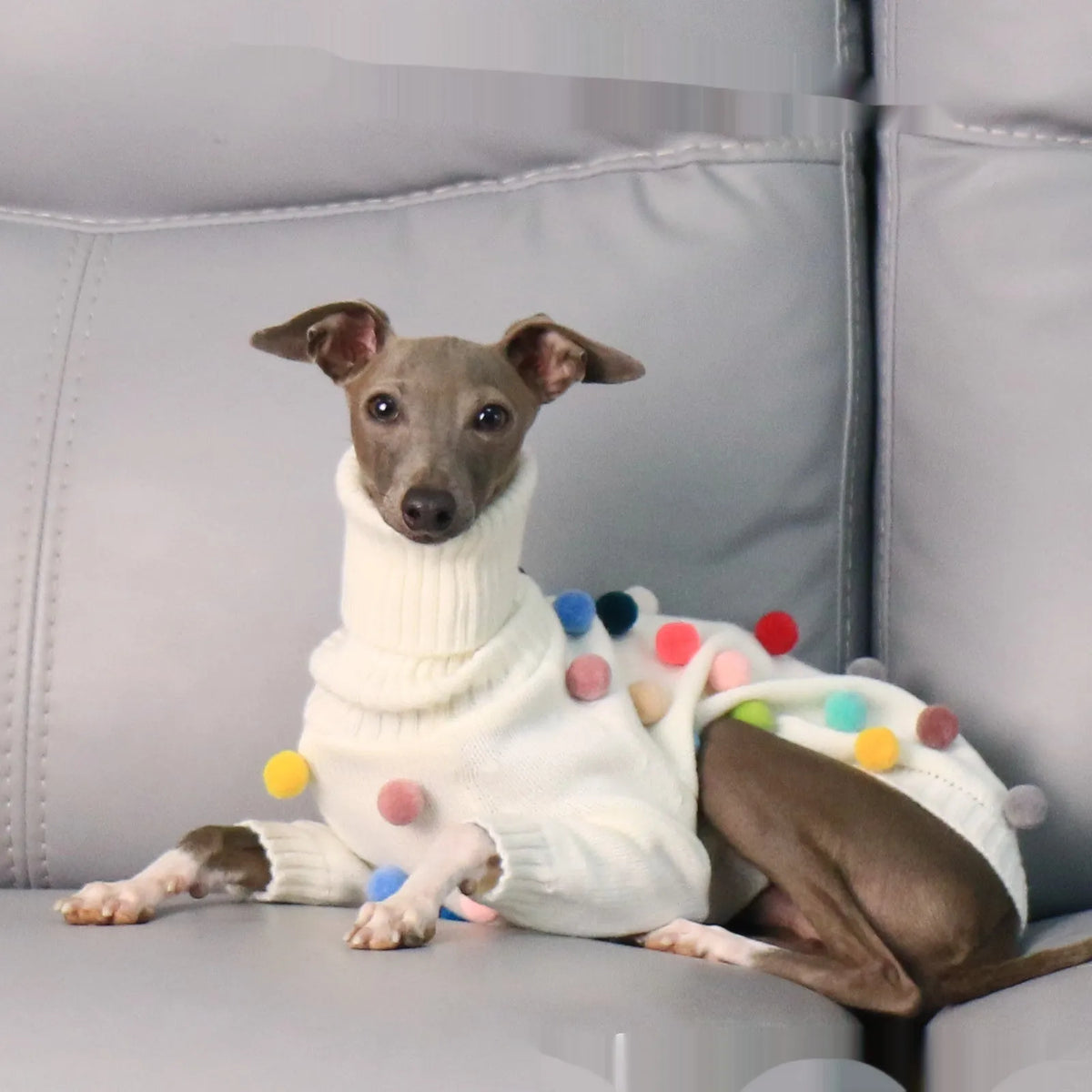 White pom pom Christmas sweater for Italian Greyhound or Whippet, unisex acrylic knit jumper